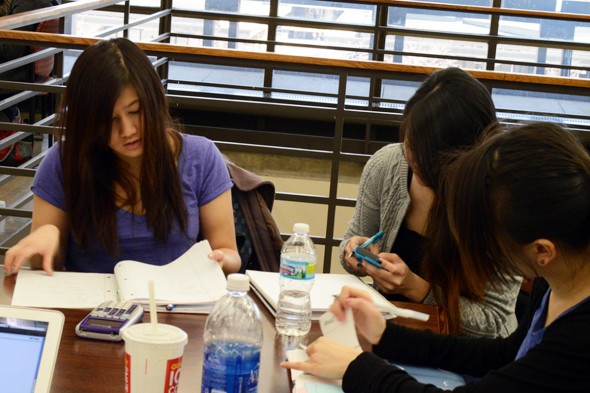 Students study at the Daley Library