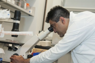 Jalees Rehman looking into microscope