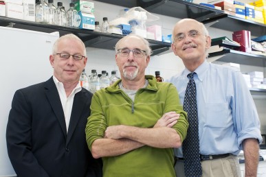 Guy Weinberg, Douglas Feinstein, and Israel Rubinstein