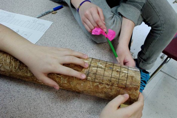 Students measure the damage to a tree trunk done by emerald ash borer.