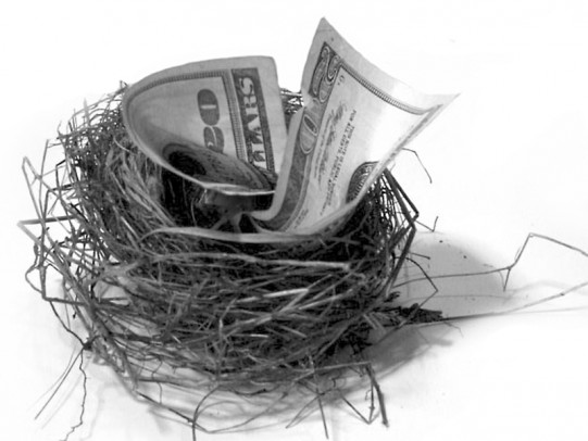 Twenty-dollar bill stuffed in a nest