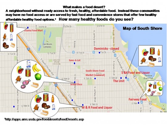 Map of food stores in the South Shore neighborhood