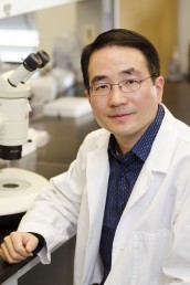 Jingsong Xu, assistant professor of pharmacology. Photo: Joshua Clark