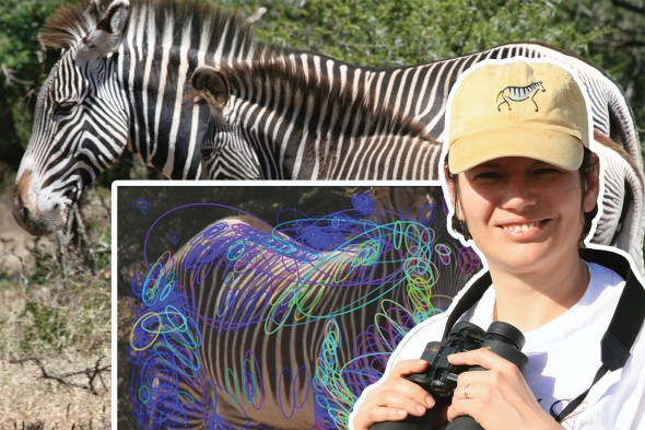 Tanya Berger-Wolf and zebra research