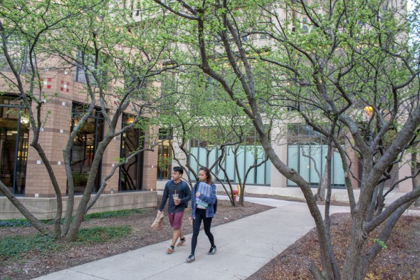 students walk between trees on campus