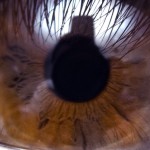 close-up of the iris of an eye