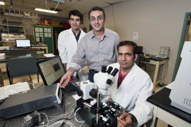 Poya Yasaei, Amin Salehi-Khojin, and Bjandra Kumar in Dr. Salehi's lab