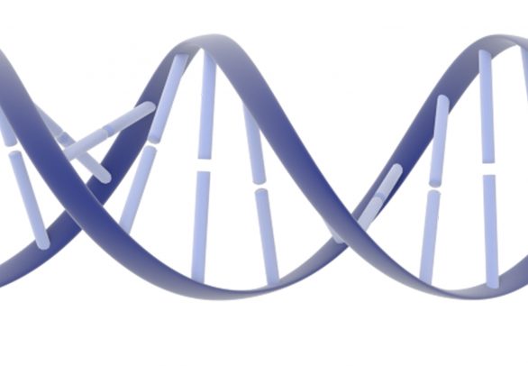 illustration of a DNA double helix