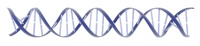 illustration of a DNA double helix