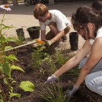 UIC students work in campus Heritage Garden