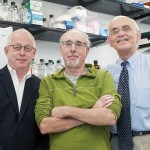 Guy Weinberg, Douglas Feinstein, and Israel Rubinstein