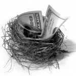 money folded up and placed in a nest
