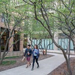 students walk between trees on campus