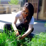 Students plant in the UIC Heritage Garden