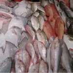 Raw fish for sale