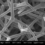 zinc oxide nanoparticles