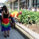Tree planting in memory of Pulse