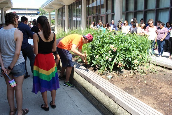 Tree planting in memory of Pulse