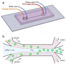 Cancer cell separation device