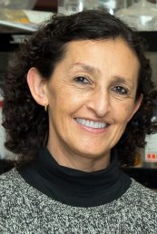 Nora Vázquez-Laslop