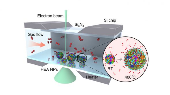 Schematic of the setup used to study the oxidation of high-entropy alloy nanoparticles (HEA NP). Inset shows HEA NP structure at room temperature (RT) and during the high-temperature oxidation. (Image by University of Illinois Chicago.)