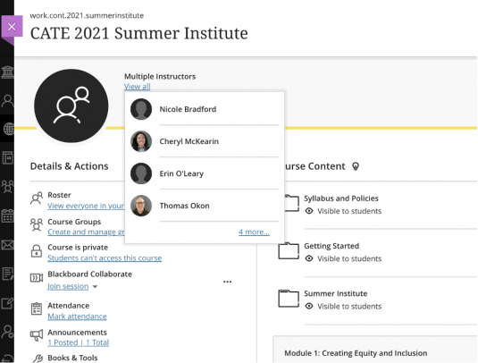 Screenshot of a computer screen for the CATE 2021 Summer Institute. It lists the course roster, course groups and links for attendance, announcements or Blackboard