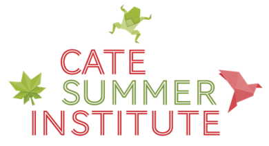 Text says "CATE Summer Institute"