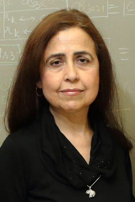 Isabel Cruz, Natural Sciences and Engineering / Distinguished Researcher