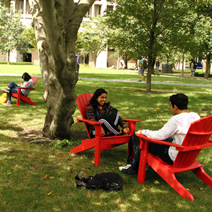 Students sitting in Adirondack chairs