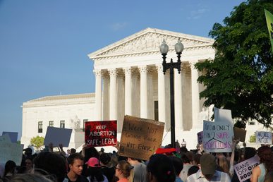 Supreme Court protest abortion. Photo by Ian Hutchinson on Unsplash