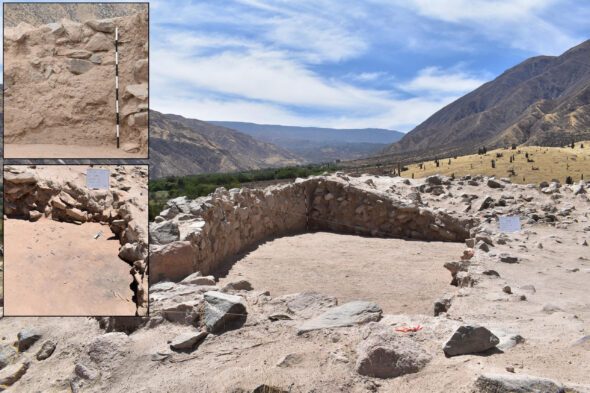 Excavation of D-shaped temple. Top insert: plastered interior wall. Bottom insert: abandonment feature on structure floor.