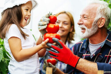 child-and-adults-gardening-tomatoes