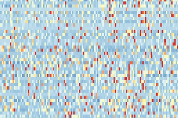 A grid of blue, red and yellow squares representing gene expression.