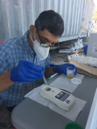 A researcher tests urine samples for dehydration
