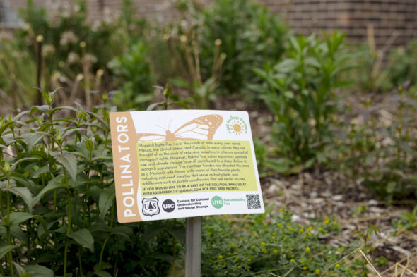 A sign with a monarch butterfly illustration