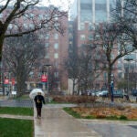 Person walking through the rain on the west side of campus. Photo by Martin Hernandez/UIC