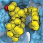 A cluster of yellow and red spheres sitting inside the cavity of a blue molecule.