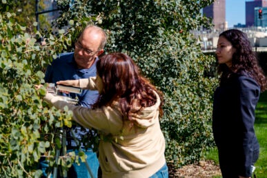 A man in a blue shirt and a woman in a tan sweatshirt uses scientific equipment on a bush while a woman in a navy blue jacket observes.